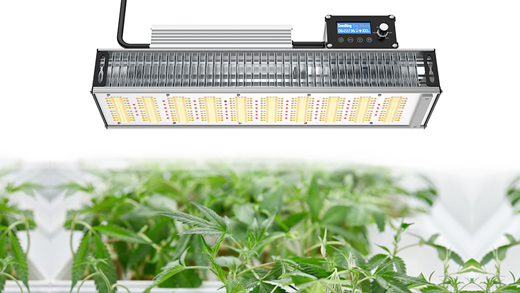 150W Grow Lights for Succulents sl1