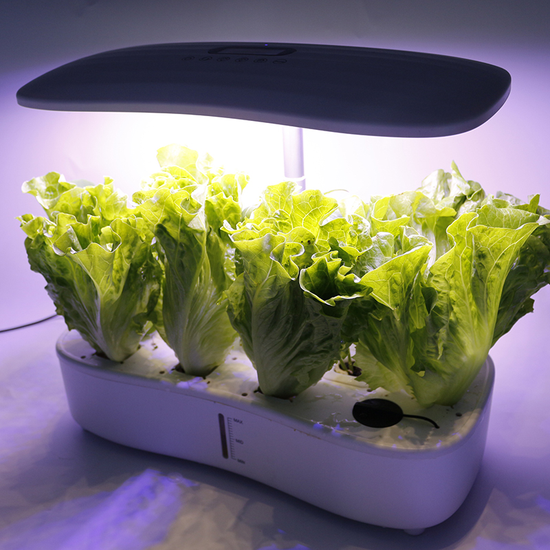 Plant Growth Hydroponic Light For Lettuce