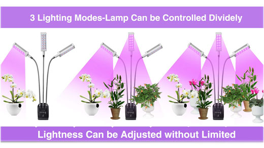 plant light with stand