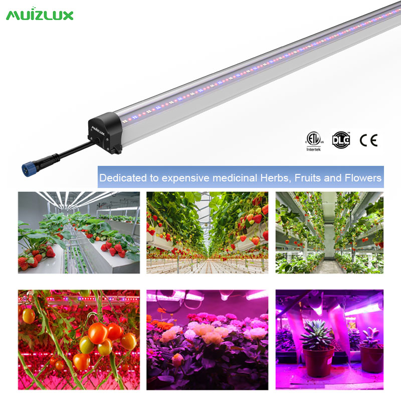 Indoor Grow LED Light Bar