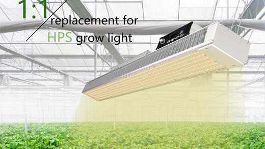 LED growing system
