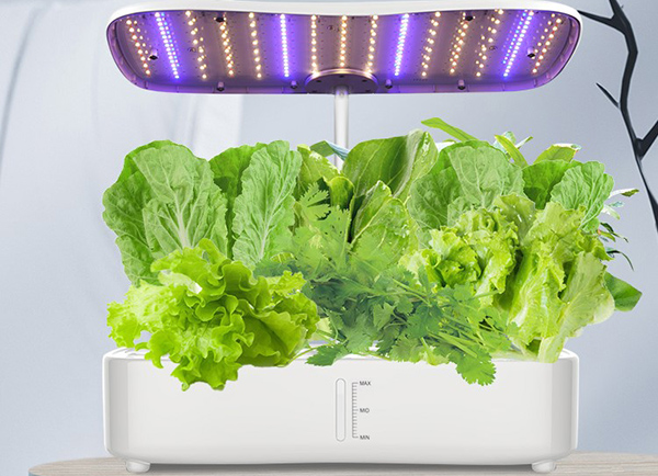 Indoor hydroponic gardening has become a soil gardening substitute. After reading this article, you will better understand Family Hyddroponic Herb Garden.